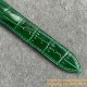 Patek Philippe - Celestial Sky Moon Date 42mm SS/LE Green Dial TZF A240