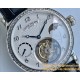 Patek Philippe - Complication Series MoonPhase 42mm Diamonds SS/LE White Dial Asia Tourbillon