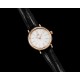 IWC - Portofino Automatic Ladies 34mm RG/LE White NRF A2892