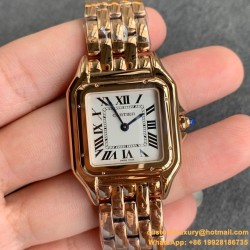 Cartier - Panthere Secrete De 27mm Ladies RG/RG GF Swiss Quartz
