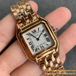 Cartier - Panthere Secrete De 27mm Ladies RG/RG GF Swiss Quartz