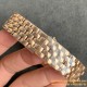 Cartier - Panthere Secrete De 27mm Ladies RG/RG GF Swiss Quartz