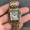 Cartier - Panthere Secrete De 27mm Ladies YG/SS GF Swiss Quartz
