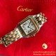 Cartier - Panthere Secrete De 27mm Ladies YG/SS GF Swiss Quartz