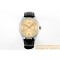 Portugieser 7 Days 2024 42mm SS/LE Champagne Dial APS A52010