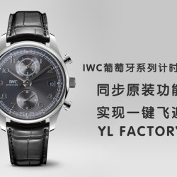 IWC - Da Vinci Chrono Laureus Ed IW393402 SS/LE Grey Dial YLF Asia 89361