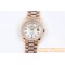 Rolex - DayDate 36mm Dia Pres RG/RG Wht MOP Diam EWF A3255 Mo
