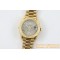 DayDate 228238 40mm YG/YG Grey Dial Rmn TWS A2836
